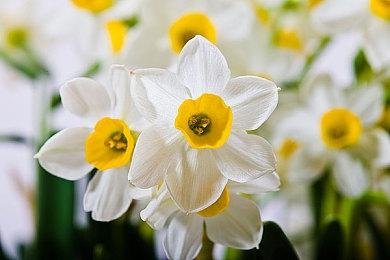 《了不起的修仙模拟器》大型免费更新《天道异动》 10月21日上线